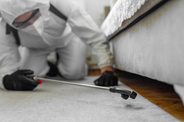 Professional Termite Control technician working in Long Lake, MN
