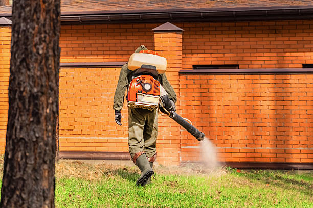 Top rated local Termite Control specialists in Long Lake, MN